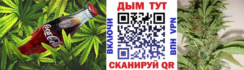 Еда ТГК марихуана  сайты даркнета состав  Грязовец 