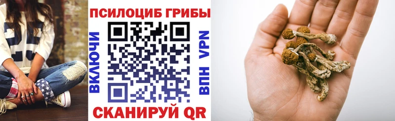 наркошоп  Грязовец  мега ТОР  Галлюциногенные грибы Cubensis 